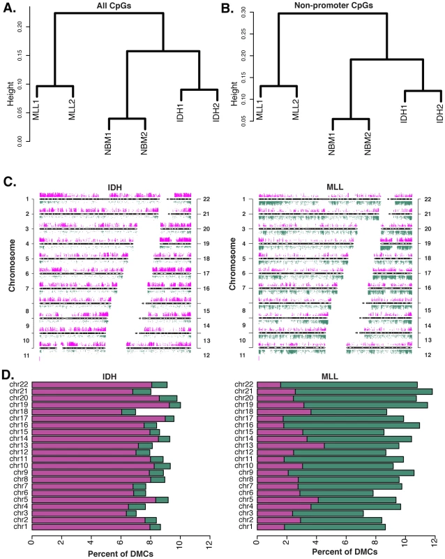 Diametrically opposed DNA methylation patterns in MLLr and IDH-mut AMLs.