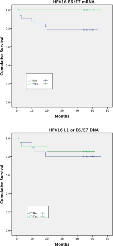 Disease specific survival (DSS)&lt;sup&gt;†&lt;/sup&gt; stratified by HPV mRNA/DNA (Log- Rank multiple regression analysis &lt;i&gt;p&lt;/i&gt; = 0.17 and &lt;i&gt;p&lt;/i&gt; = 0.66 respectively)