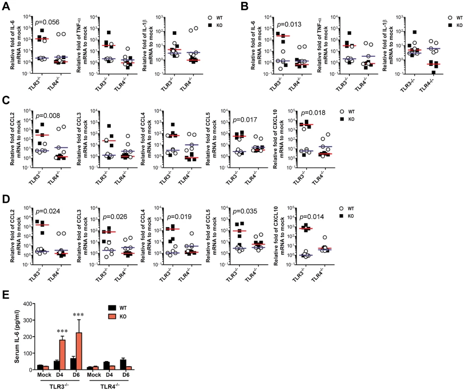 TLR3 ablation induces huge production of pro-inflammatory cytokines in inflammatory tissues.