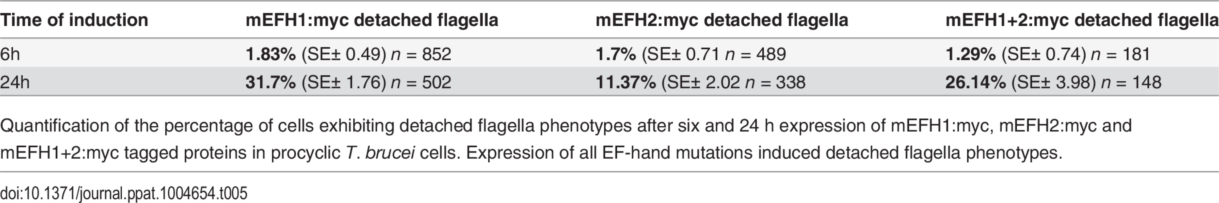 mEFH:myc induced detached flagellum phenotypes after expression in <i>T</i>. <i>brucei</i> cells.