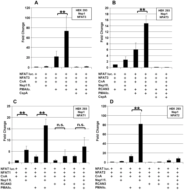 SARS-CoV Nsp1 full length (Nsp1fl) induces NFAT-regulated gene expression <i>in vitro</i> independently of the NFAT molecular species, and the calcipressin RCAN3 extenuates the effect.