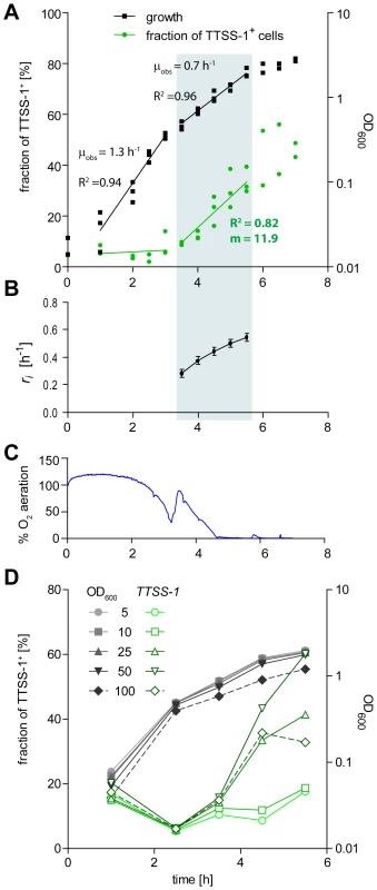 Time course experiment analyzing the initiation of <i>ttss-1</i> expression.