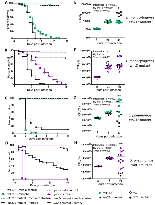 Ets21c and wntD similarly affect survival to <i>L. monocytogenes</i> and <i>S. pneumoniae.</i>
