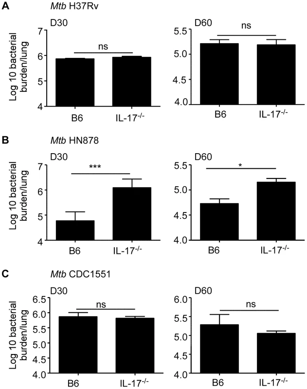 IL-17 is required for protective immunity against <i>Mtb</i> HN878 infection.
