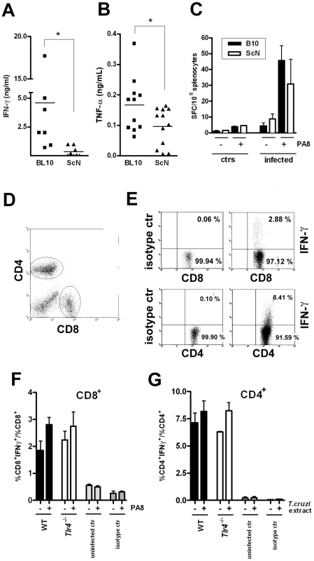 Preserved IFN-γ-producing CD8<sup>+</sup>and CD4<sup>+</sup> T cell frequencies but reduced total IFN-γ and TNF-α levels in infected <i>Tlr4<sup>−/−</sup></i> mice.