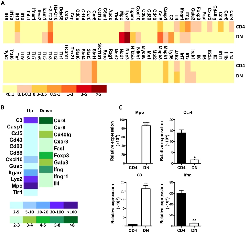 Enhanced transcription of innate genes in <i>Leishmania</i>-reactive DN T cells.