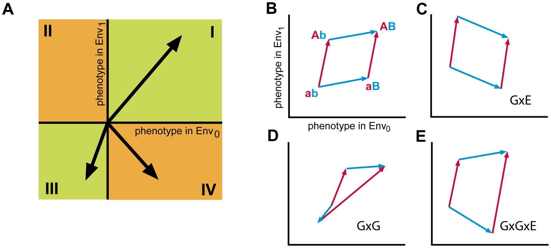 Analysis of higher order genotype-environment interactions.