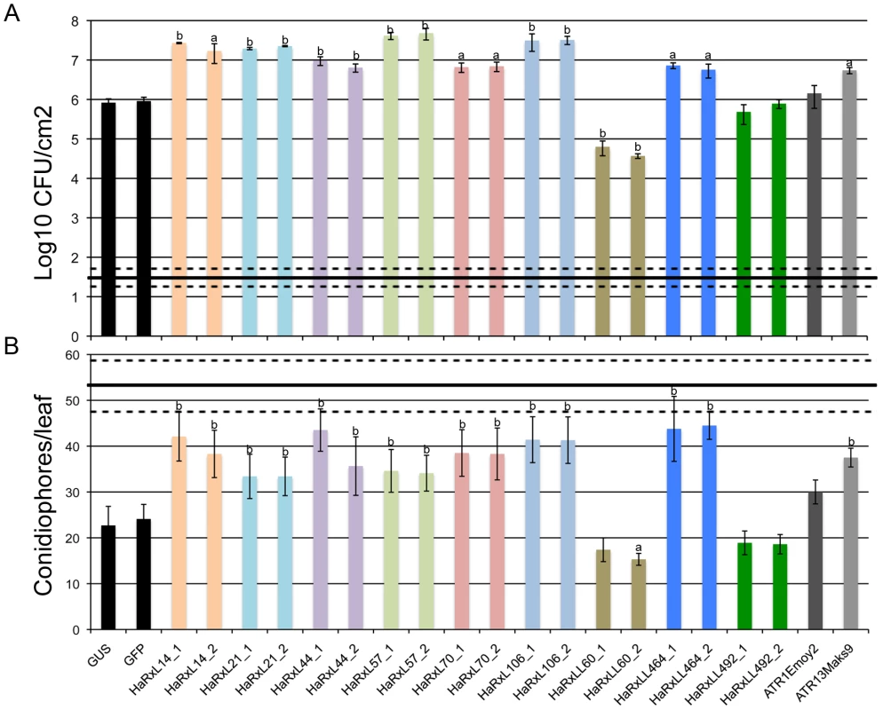 <i>Arabidopsis</i> Col-0 plants expressing constitutively HaRxLs support enhanced growth of <i>P. syringae</i> ΔavrPto/ΔavrPtoB and <i>Hpa</i> isolate Noco2.