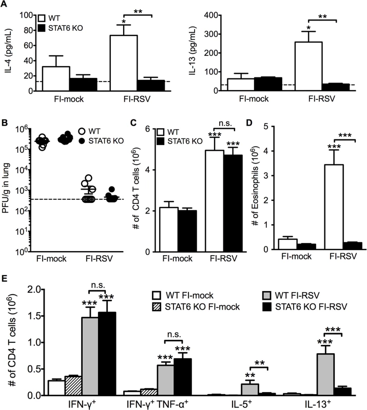 Th2-associated immune response is impaired in STAT6-deficient mice.