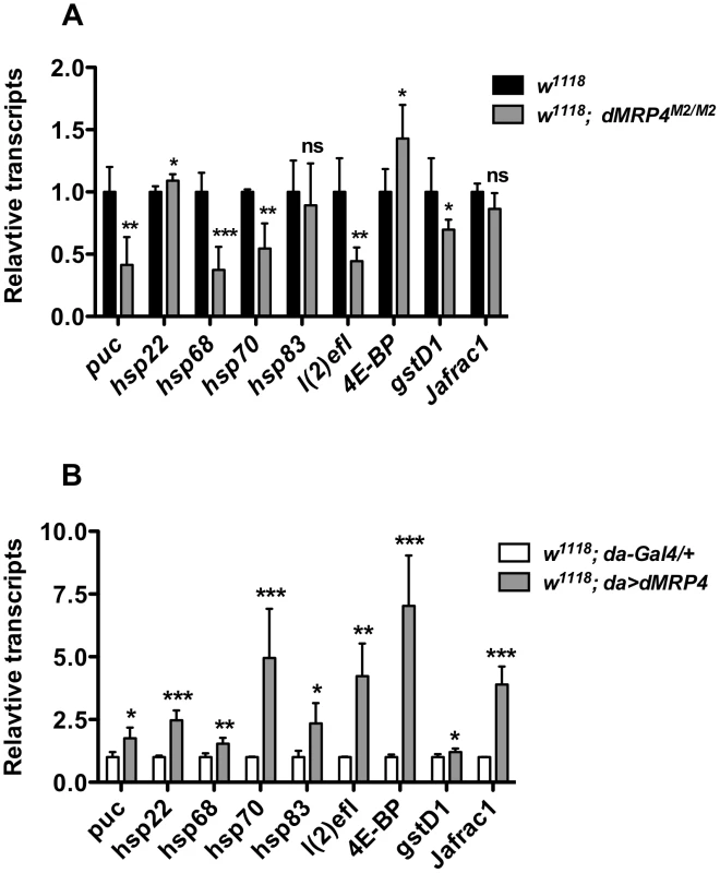 <i>dMRP4</i> regulates expression of some stress- and aging-related genes.