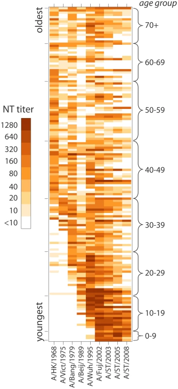 Heat-map of neutralization titers from all 151 individuals to each of the strains tested.