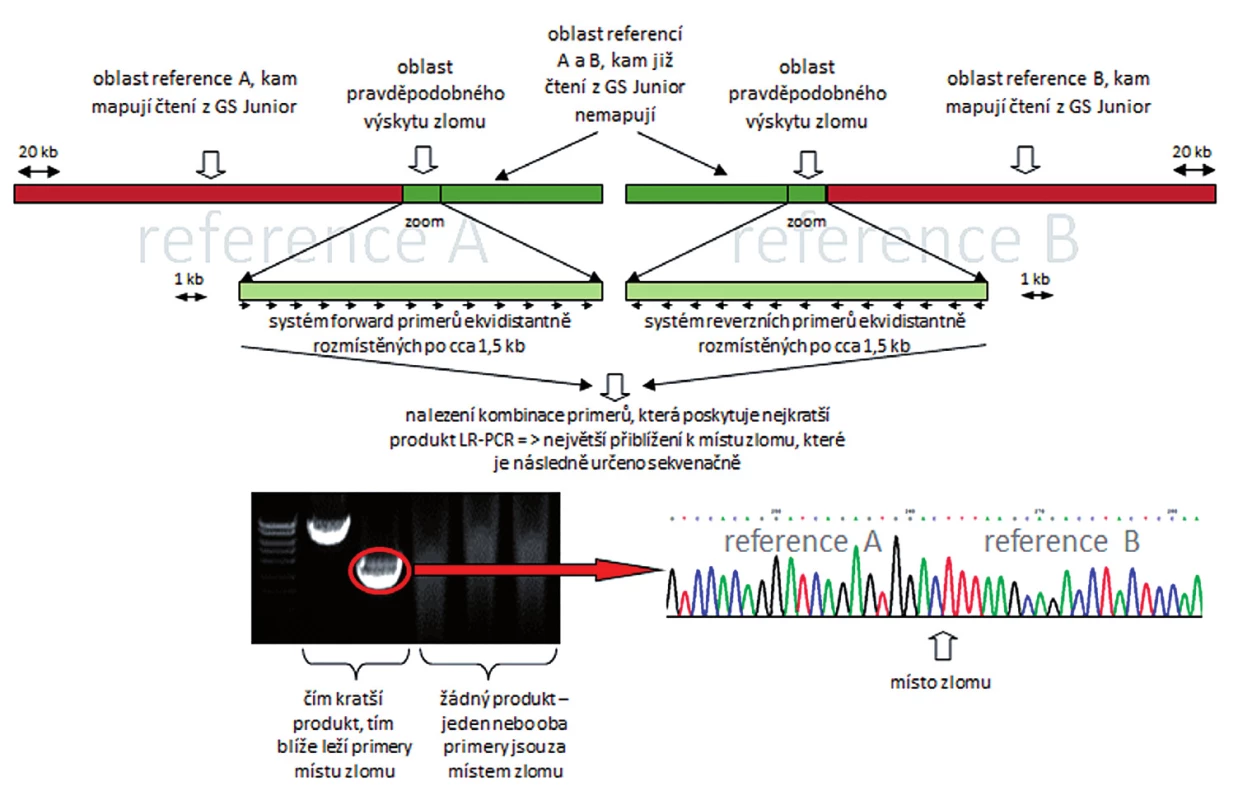 Schématické zobrazení postupu při identifikaci zlomového místa na derivovaném chromozomu.