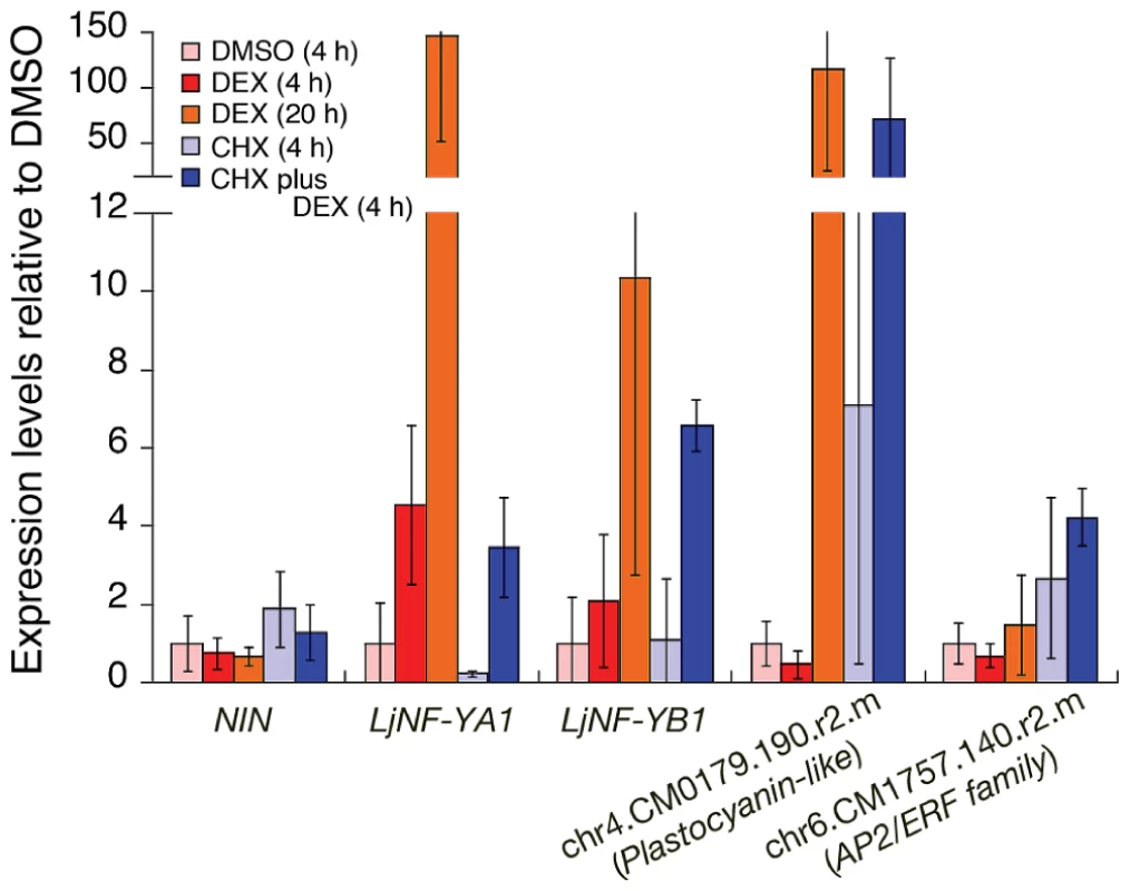 Expression of candidate NIN-target genes in roots that were ectopically expressing the NIN protein.