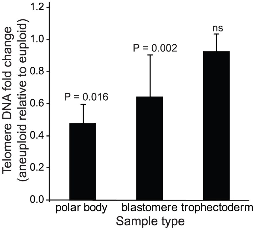 Mean quantities (±SEM) of telomere DNA found in aneuploid relative to euploid polar bodies, blastomeres, and trophectoderm biopsies.