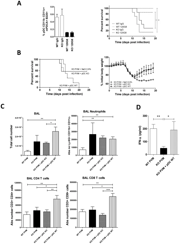 Increased pathogenicity of PVM in ChemR23<sup>−/−</sup> mice is not due to the defective pDC recruitment.