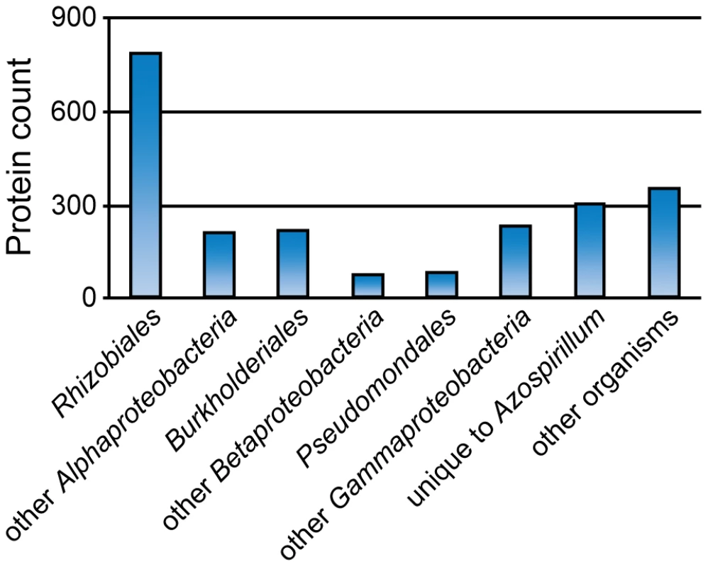 Taxonomic distribution of the best BLAST hits for predicted HGT in &lt;i&gt;Azospirillum&lt;/i&gt;.