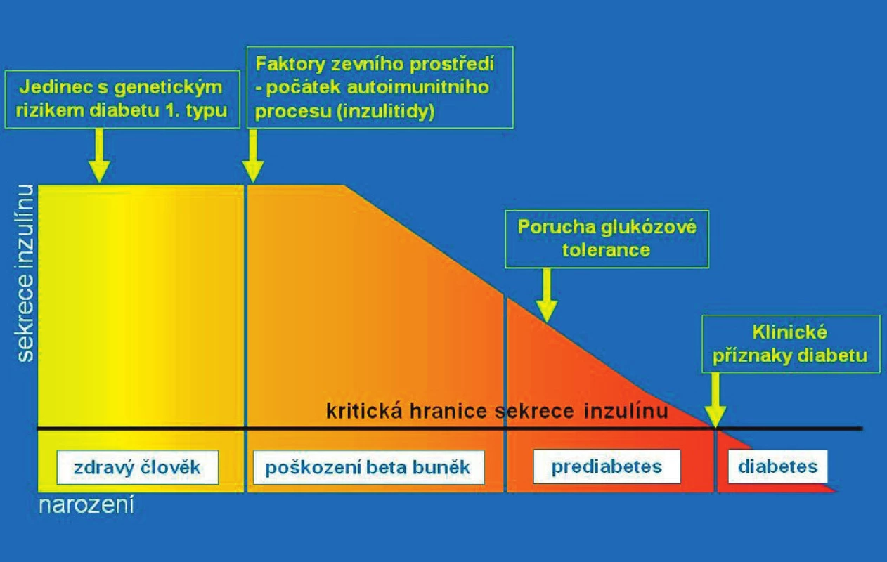 Přirozený průběh autoimunitní inzulitidy ve schematickém vyjádření. Jedinec se rodí s genetickou predispozicí pro možný vznik diabetu 1. typu. Autoimunitní destrukce beta-buněk (inzulitida) začíná vlivem spouštěcího faktoru ze zevního prostředí. Postupně ubývá masy beta-buněk a klesá celková kapacita sekrece inzulinu. Po určité době lze prokázat pokles sekrece inzulinu (intravenózním glukózovým tolerančním testem), později i poruchu glukózové tolerance (orálním glukózovým tolerančním testem). Toto vyšetření se však zpravidla neprovádí, protože jedinec je asymptomatický. Klesne-li kapacita betabuněk na 10–15 % původního množství, rozvine se trvalá hyperglykémie a klinické příznaky diabetu. Je diagnostikován diabetes a zahájeno léčení (podle Kateřiny Štechové a Lenky Petruželkové).