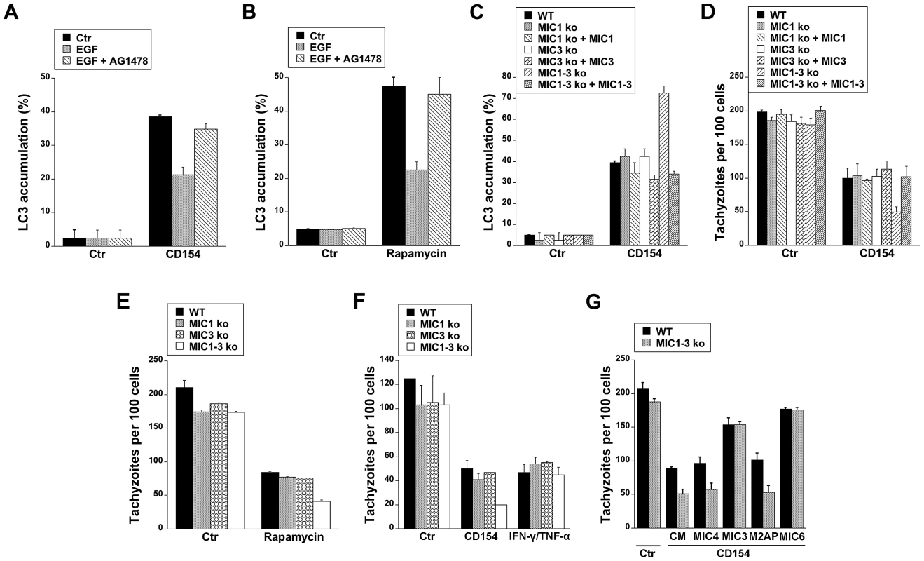 EGFR and <i>T. gondii</i> micronemal proteins modulate CD40-induced recruitment of LC3 around <i>T. gondii</i> and parasite killing.
