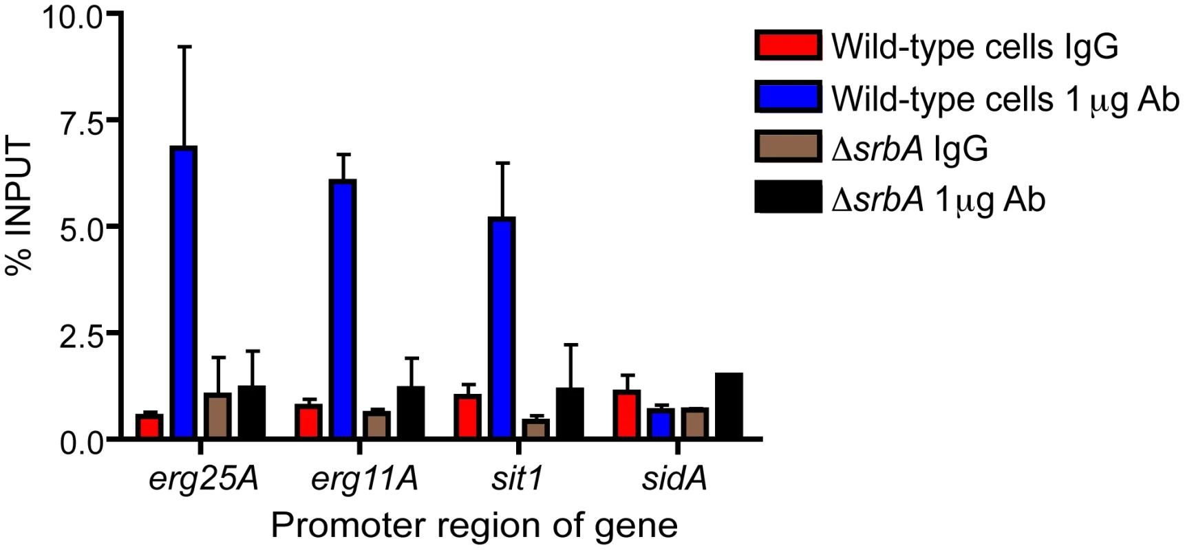Enrichment of SrbA at the promoters of ergosterol biosynthesis and iron uptake genes.