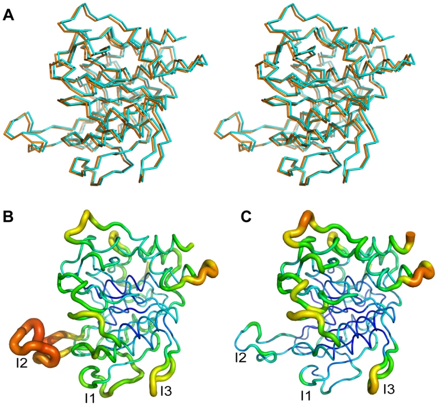 Crystal structure of AprV2.C141S.