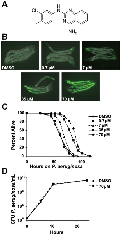 RPW-24 activates <i>F35E12.5::GFP</i> and prolongs the lifespan of <i>C. elegans</i> infected with <i>P. aeruginosa</i> without affect growth of the pathogen.