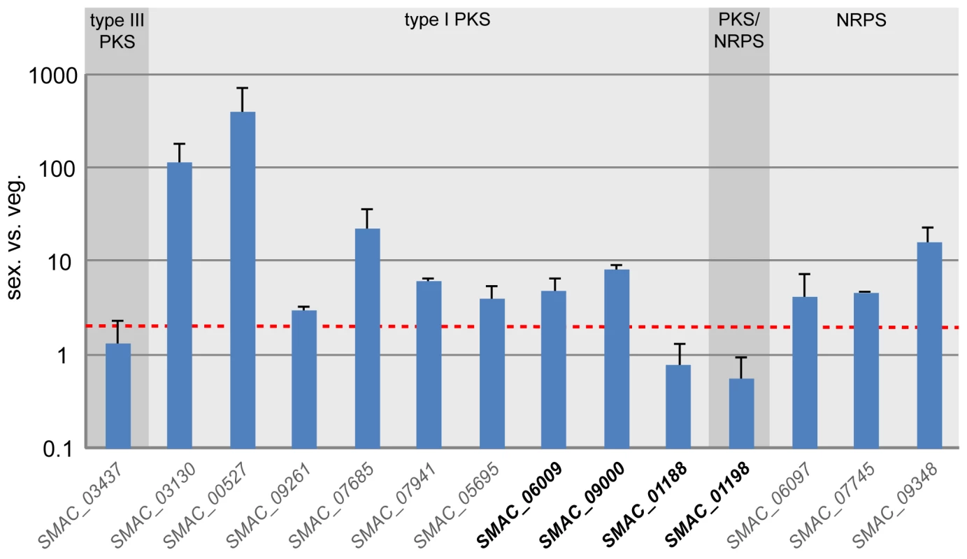 Expression of all predicted <i>pks</i> and <i>nrps</i> genes in <i>S. macrospora</i> during sexual development compared with vegetative growth.