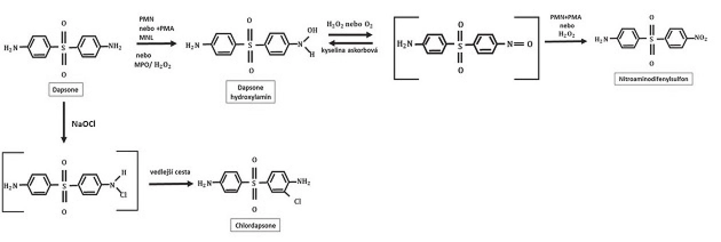 Struktura dapsone hydroxylaminu