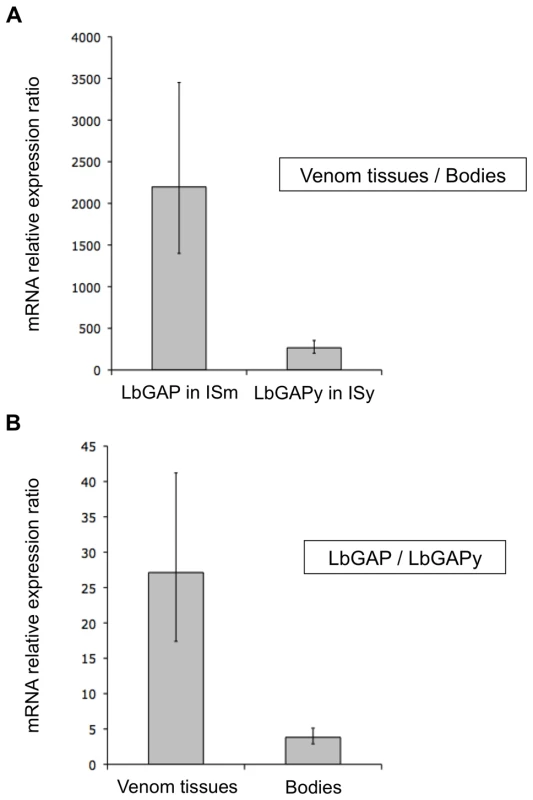 <i>LbGAP</i> expression in ISm females is higher than <i>LbGAP</i>y expression in ISy females.