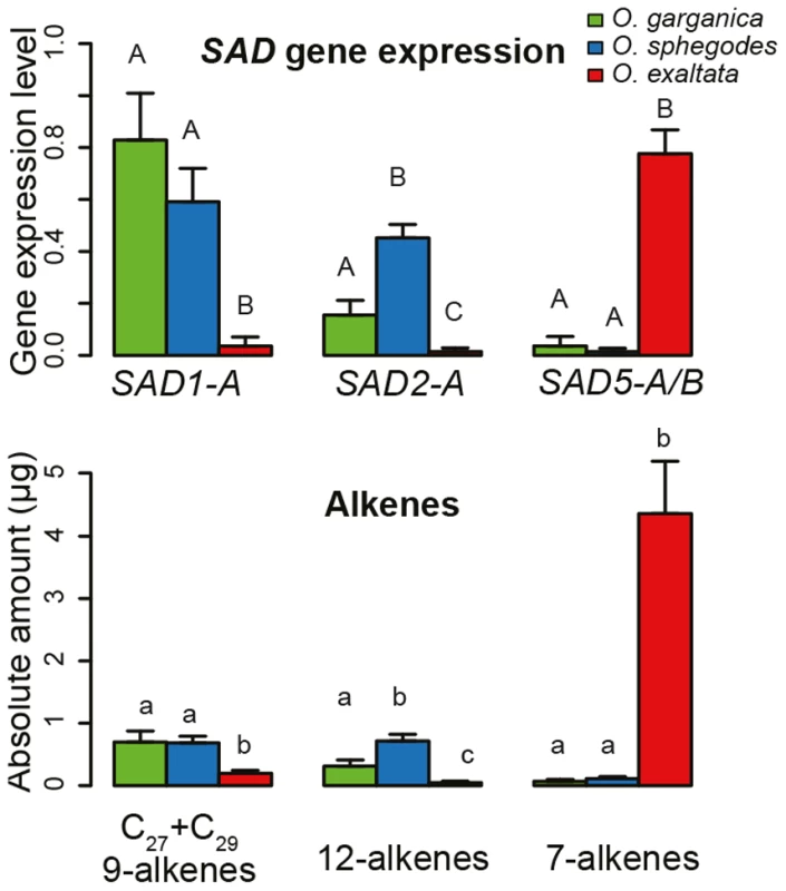 Allelic gene expression and alkene production in different species.