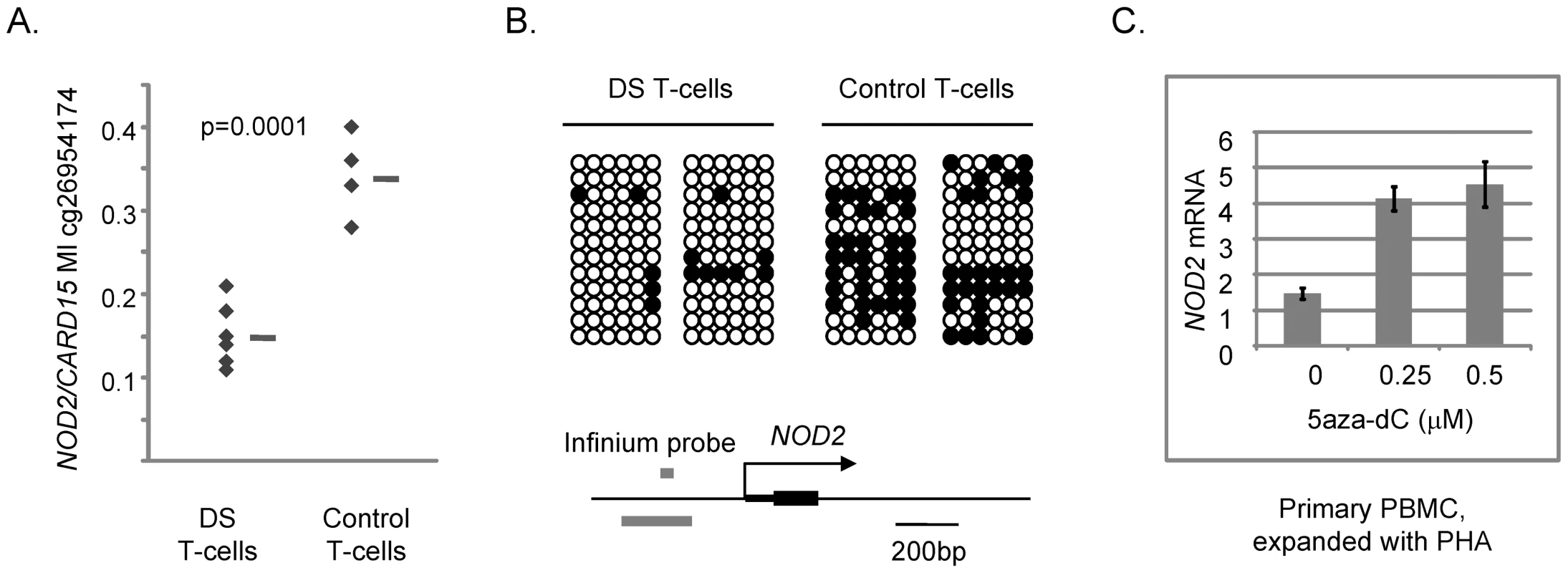 Differential DNA methylation in the <i>CARD15/NOD2</i> gene in DS versus normal T-cells and induction of <i>NOD2</i> mRNA by 5aza-dC.