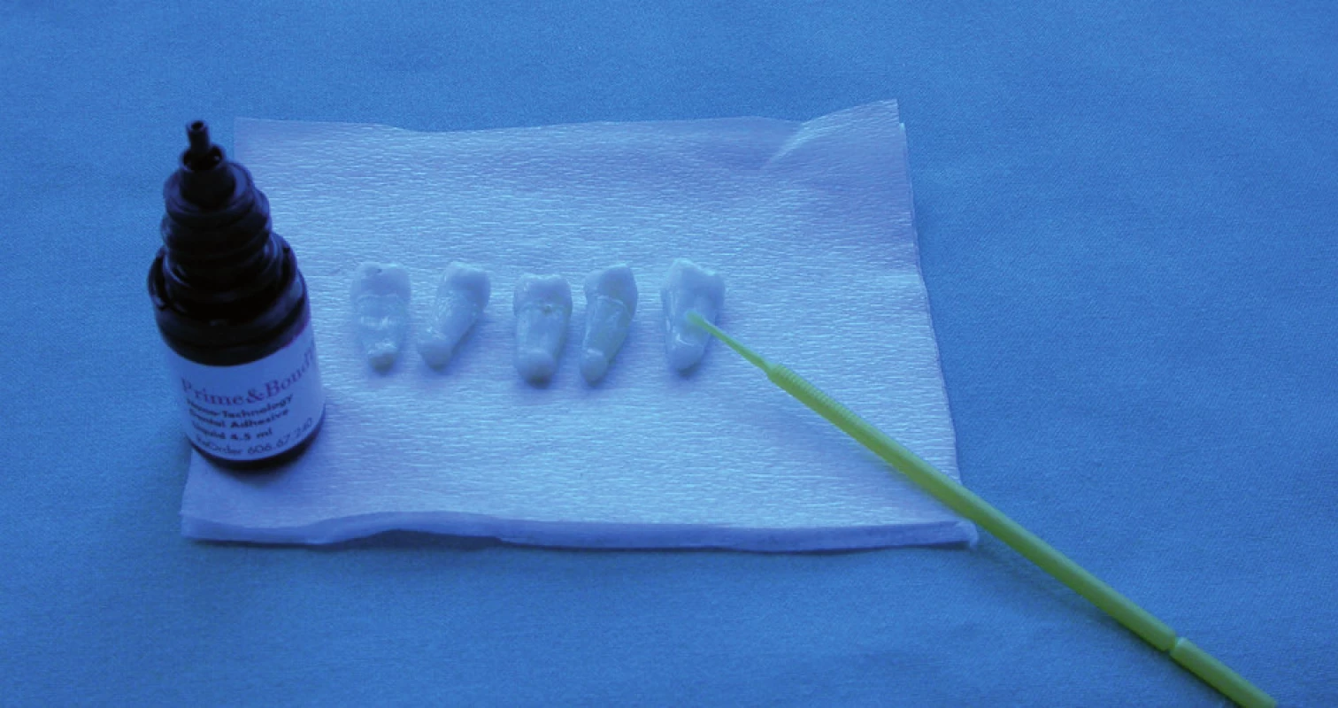 Příprava zubů k experimentu.