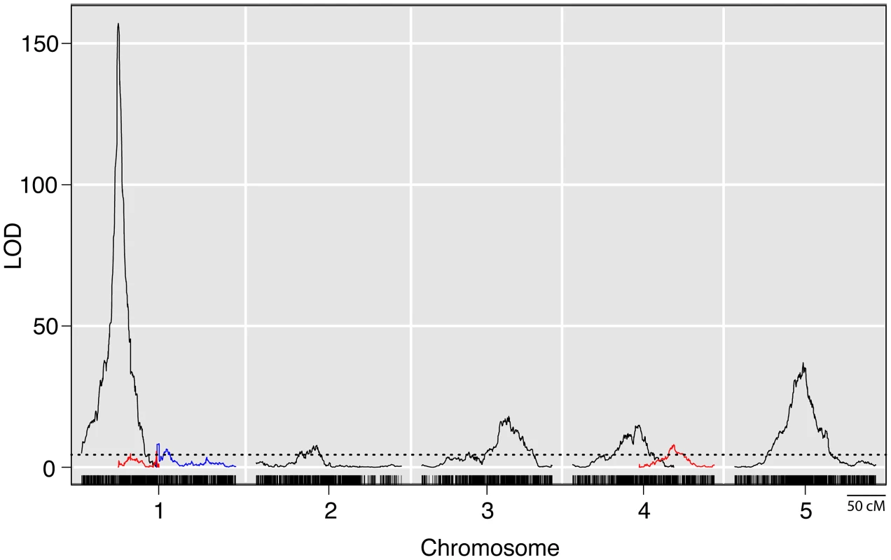 LOD plots from a genome wide QTL scan for prolificacy in a set of maize-teosinte BC<sub>2</sub>S<sub>3</sub> RILs.
