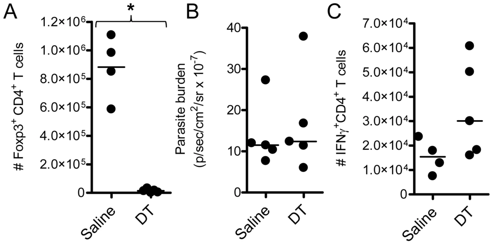 Total Foxp3<sup>+</sup> cell depletion does not affect parasite burden or disease outcome in ECM.