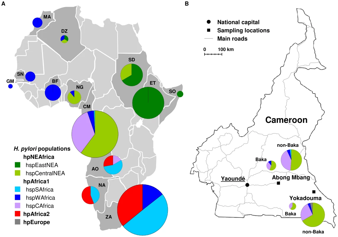 The sources of African <i>H. pylori</i> isolates.