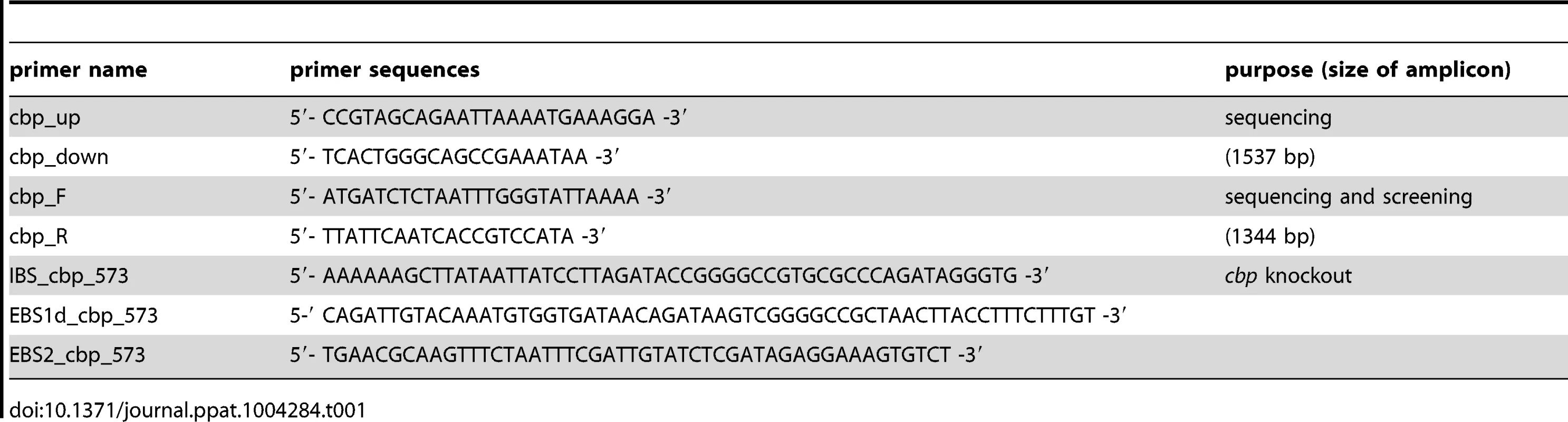 Primers used for sequence analysis of &lt;i&gt;cbp&lt;/i&gt;49, screening of &lt;i&gt;P. larvae&lt;/i&gt; isolates for &lt;i&gt;cbp&lt;/i&gt;49, and construction of gene knockouts in &lt;i&gt;P. larvae&lt;/i&gt; ATCC9545 (ERIC I) and DSM25430 (ERIC II).