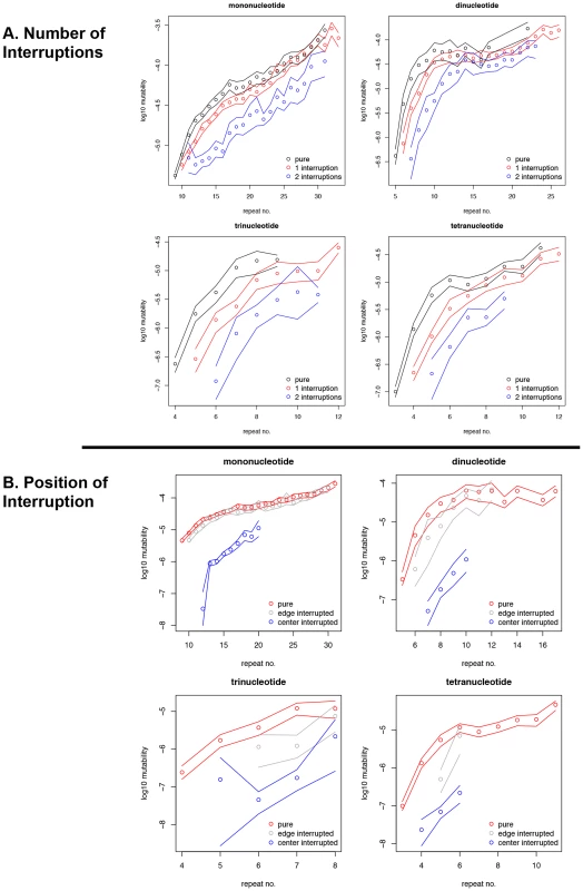 Effect of interruptions on microsatellite mutability in primate genomes.