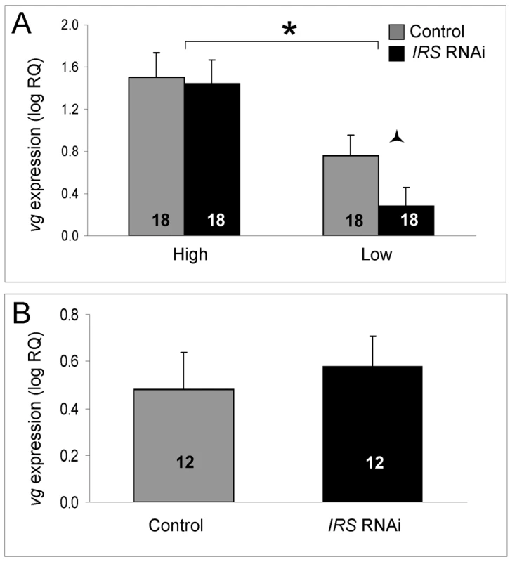 Effect of <i>IRS</i> on <i>vitellogenin</i> mRNA.