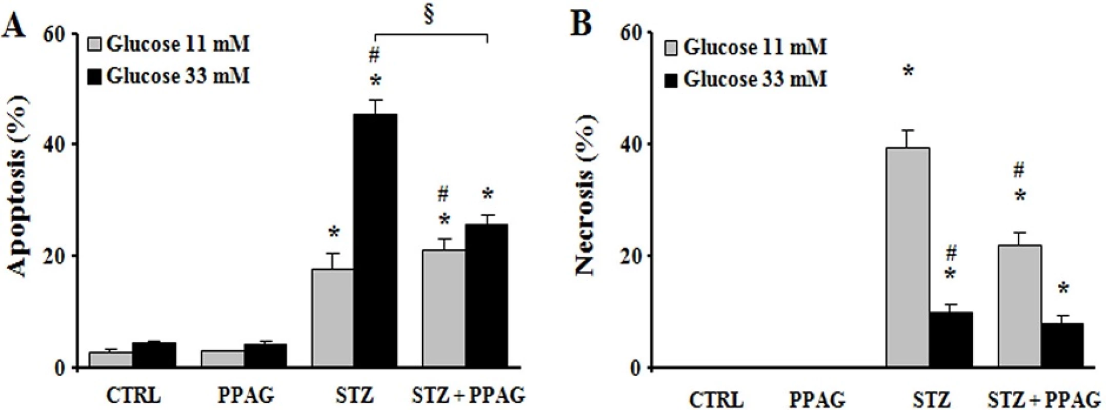 In vitro beta cell protection from STZ by PPAG. INS-1E cells were pre-treated with 30 μM PPAG for 16 hours, exposed to 1 mM streptozotocin for 1 hour and then cultured for 23 hours in medium containing 11 or 33 mM glucose with or without PPAG (n = 3). The percentage of apoptotic (A) and necrotic cells (B) was determined following staining with the nuclear dyes propidium iodide and Hoechst 33342. A minimum of 500 cells was counted for each condition. Percentage of apoptotic (A) and necrotic cells (B). *p<0.05 against control (CTRL). #p<0.05 against STZ-treated cells in 11 mM glucose. §p<0.05 as indicated.