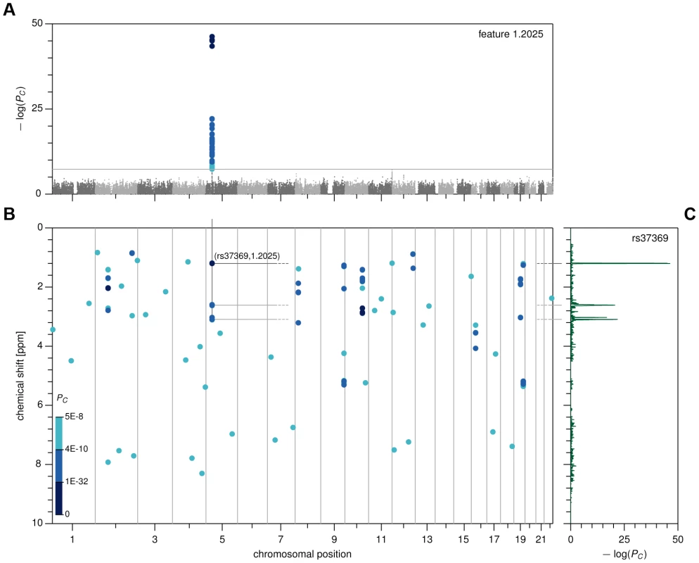 Genome- and metabolome-wide analysis results, first stage.