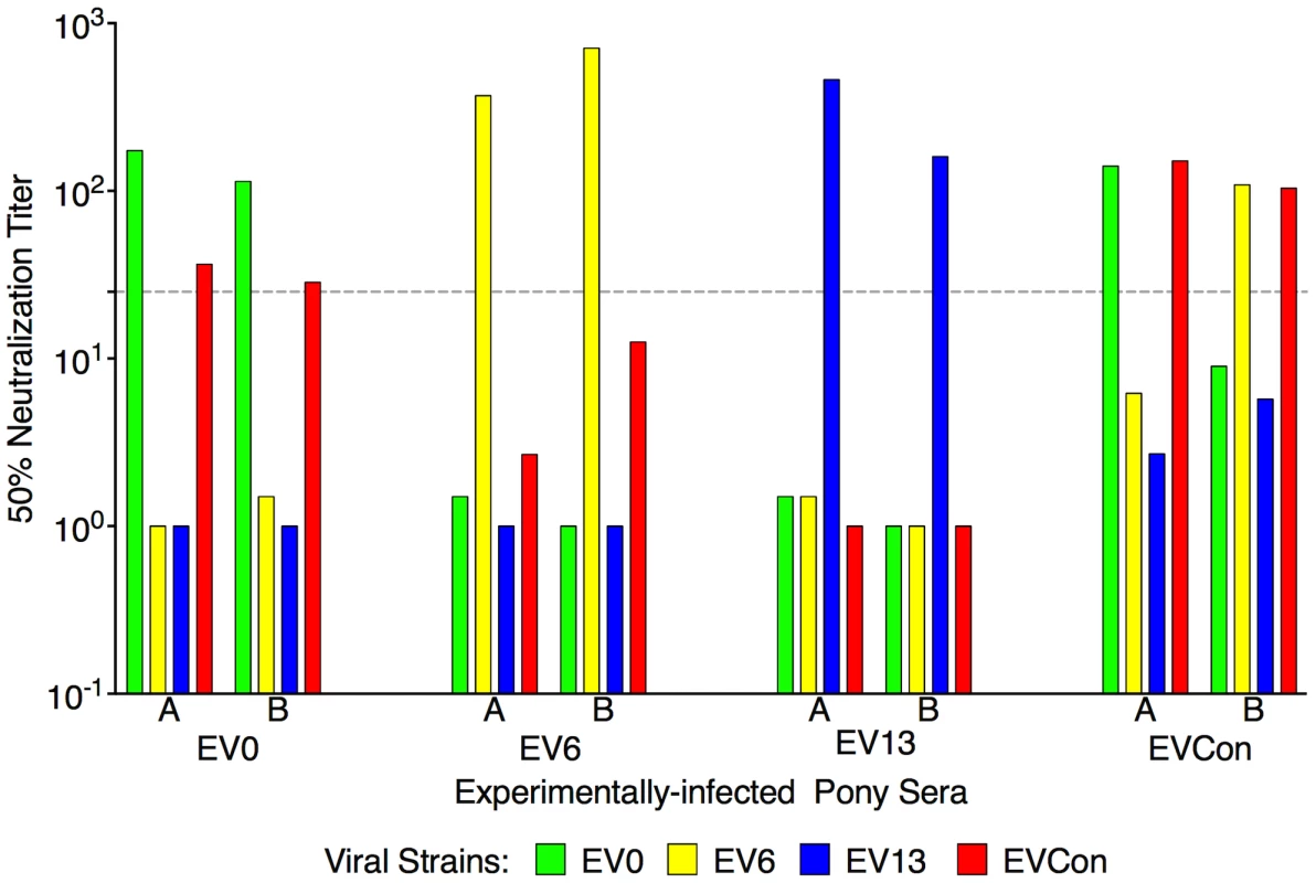 Neutralization profiles of proviral variant strains with serum from animals experimentally infected with EV0, EV6, EV13, or EVCon.