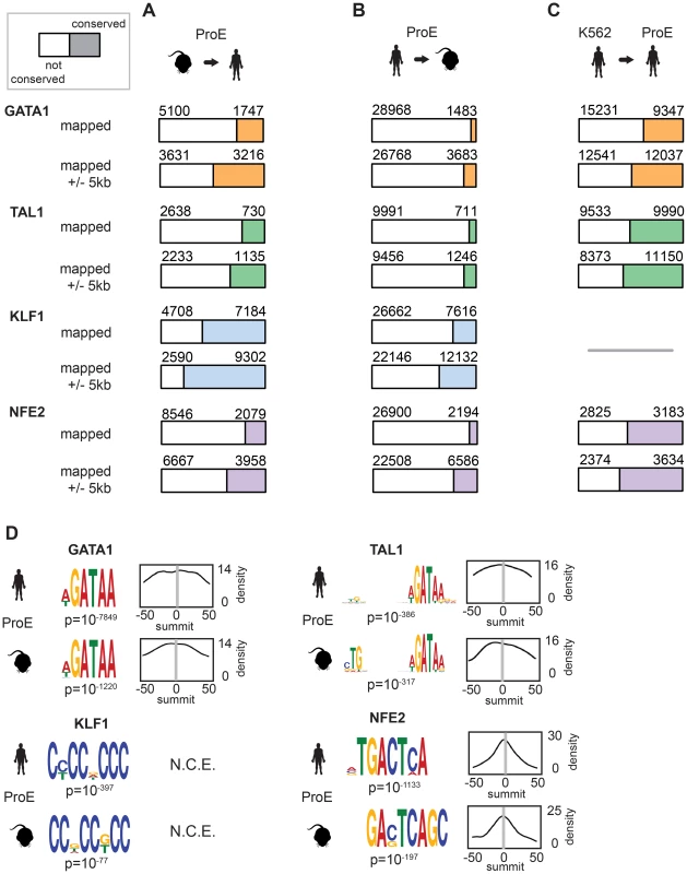 Divergence of transcription factor occupancy sites between human and mouse.