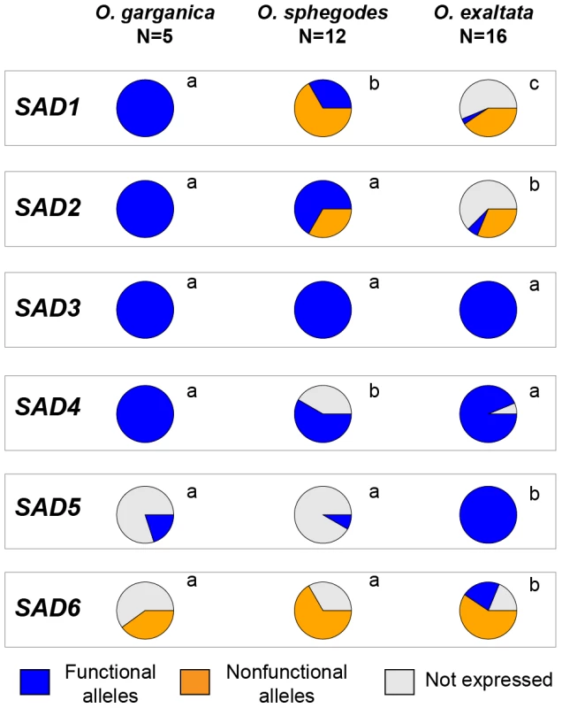Distribution of <i>SAD</i> allele occurrence in three species.