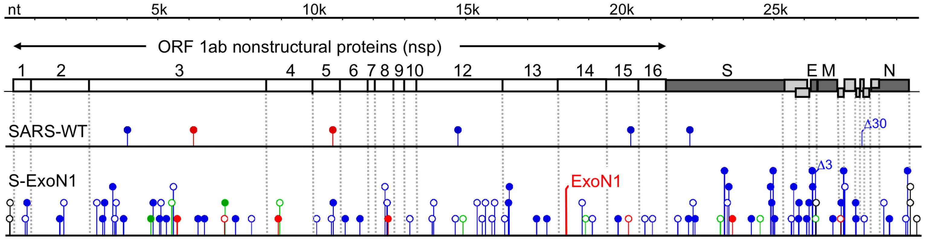 Distribution of mutations across genomes of aggregate viral clones.