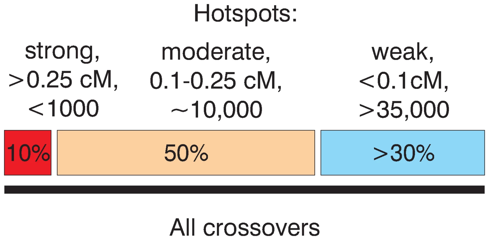Schematic representation of the relative input of strong and weak hotspots to the total set of crossovers.