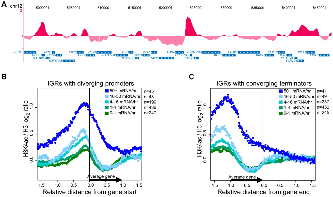 H3K4ac Is Enriched at Promoters of Transcribed Genes.