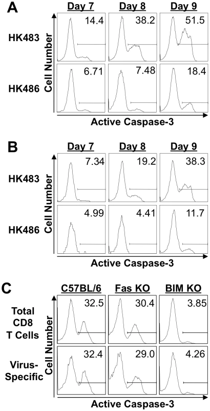 Apoptosis of CD8 T cells in mice infected with H5N1 viruses.