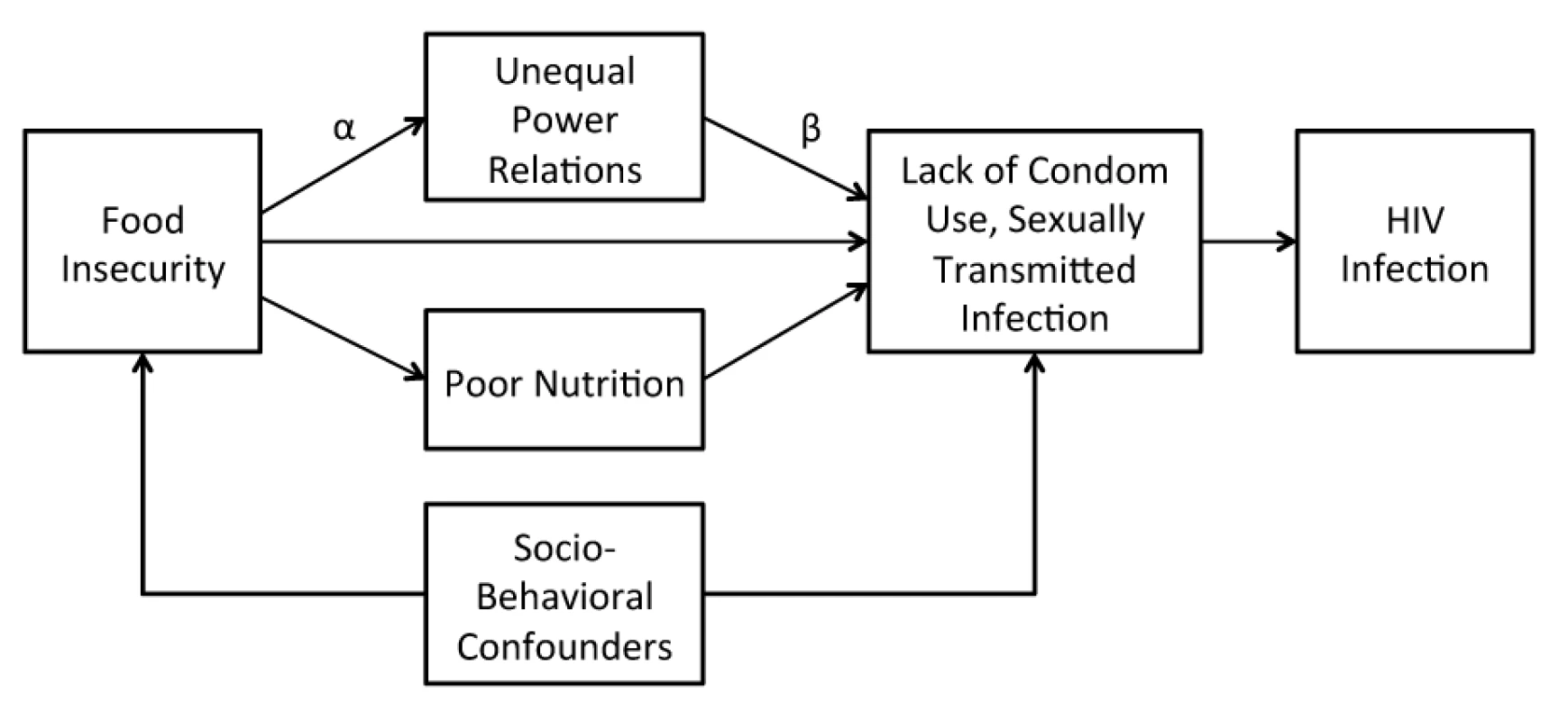 Conceptual framework linking food insecurity to HIV risk.