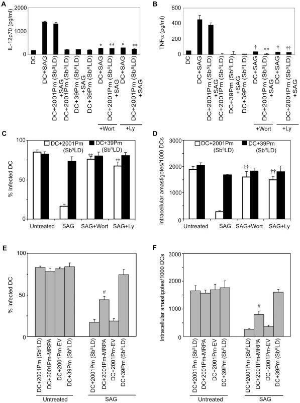 Sb<sup>R</sup>LD inhibits SAG-induced proinflammatory cytokine production and leishmanicidal effects by suppressing PI3K/AKT pathway.