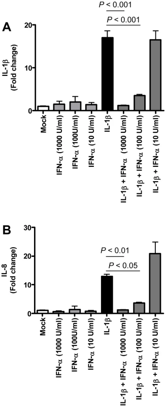 Anti-inflammatory type I IFN inhibits IL-1β-induced pro-inflammatory cytokine production in PBMCs.
