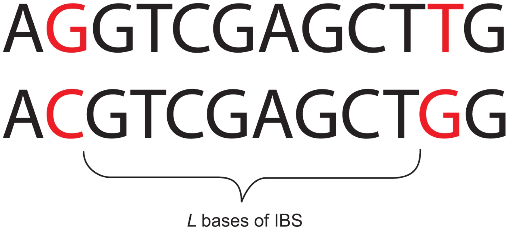 An eight base-pair tract of identity by state (IBS).